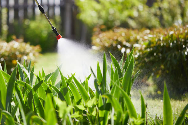 Tamper-Resistant Bait Stations for Rodents in Lake Lorelei