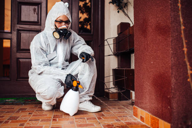 Attic and Crawl Space Rodent Treatment in Lake Lorelei
