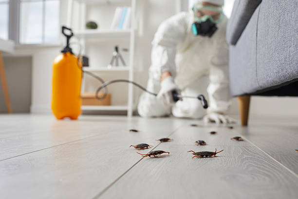 Commercial Rodent Management in Lake Lorelei